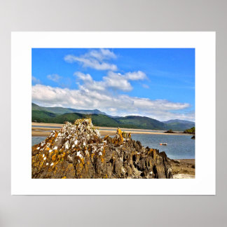 TIDAL RIVER POSTER