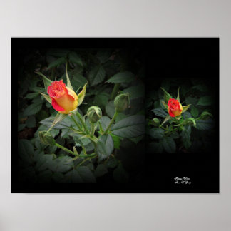 Tiddly Winks Miniature Rose Wall Art by Stan VG