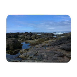 Tide Pools at Bob Creek, OR Magnet