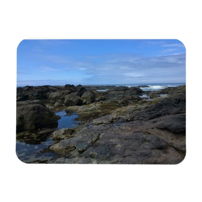 Tide Pools at Bob Creek, OR Magnet (Horizontal)