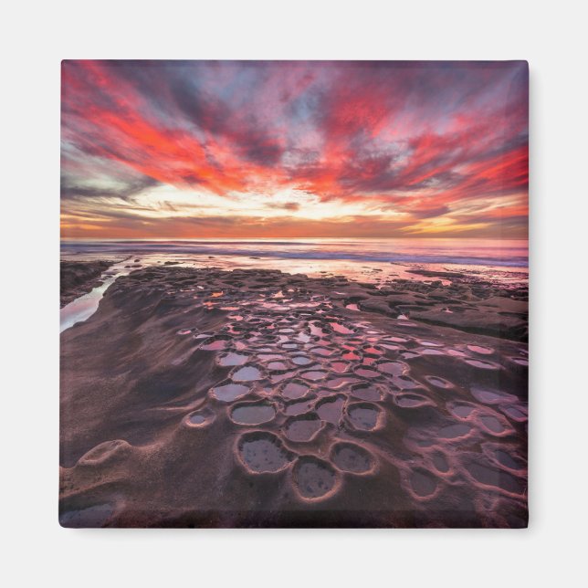 Tide Pools in La Jolla, CA Magnet (Front)