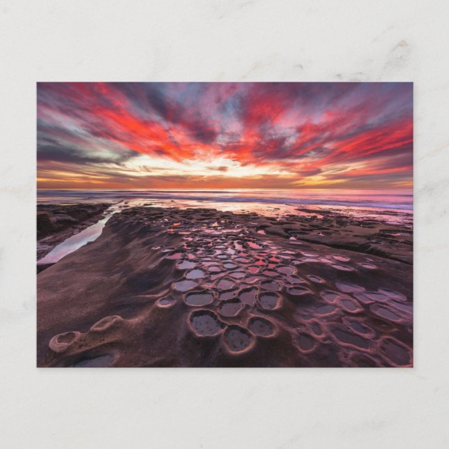 Tide Pools in La Jolla, CA Postcard (Front)
