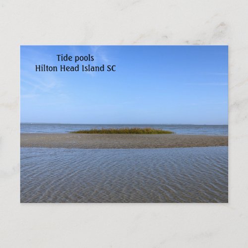 Tide Pools South Carolina Postcard