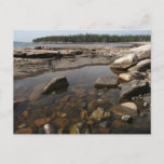 Tidepool at Wonderland in Acadia National Park Postcard