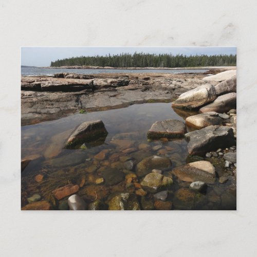 Tidepool at Wonderland in Acadia National Park Postcard