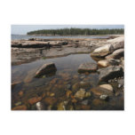Tidepool at Wonderland in Acadia National Park Postcard