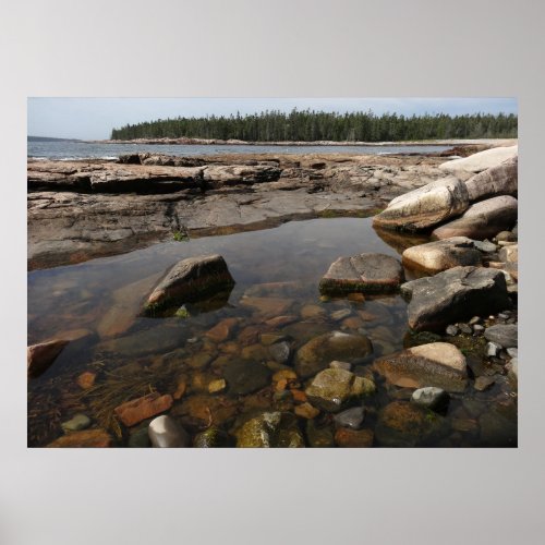 Tidepool at Wonderland in Acadia National Park Poster