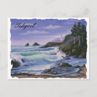Tidepool Postcard