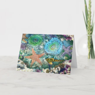 Tidepool Reflections Greeting Card