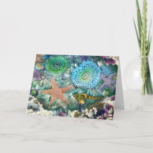 Tidepool Reflections Greeting Card