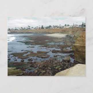 Tidepools Ocean Beach Cliffs Postcard