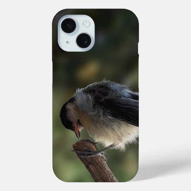 Tidi my Bird the Parus Major Case-Mate iPhone Case (Back)
