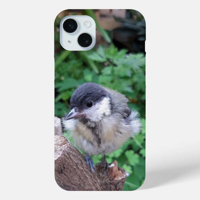 Tidi my Bird the Parus Major Case-Mate iPhone Case (Back)