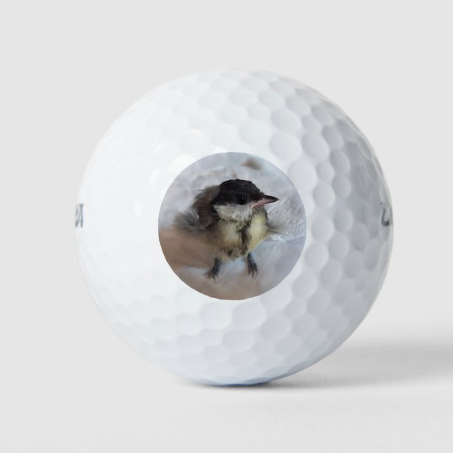 Tidi my Bird the Parus Major Golf Balls (Front)