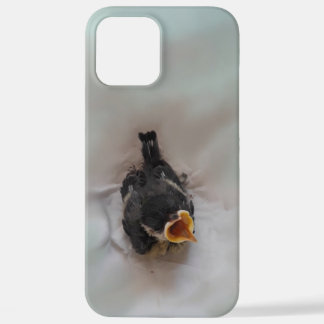 Tidi my Bird the Parus Major iPhone 12 Pro Max Case