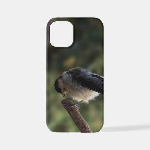 Tidi my Bird the Parus Major iPhone 12 Mini Case