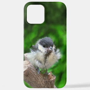 Tidi my Bird the Parus Major iPhone 12 Pro Max Case