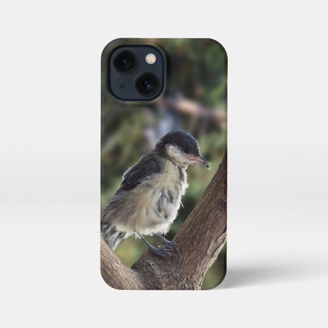 Tidi my Bird the Parus Major iPhone Case (Back)