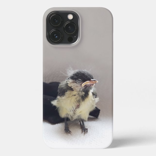 Tidi my Bird the Parus Major iPhone Case (Back)