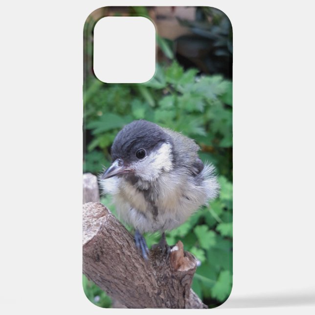 Tidi my Bird the Parus Major iPhone Case (Back)