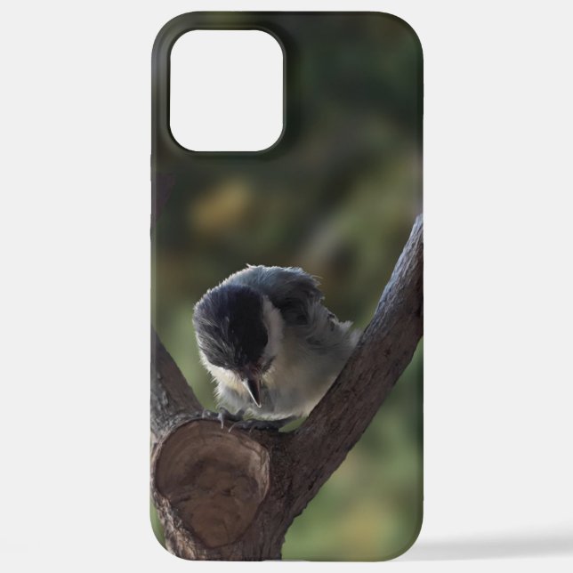 Tidi my Bird the Parus Major iPhone Case (Back)