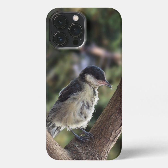 Tidi my Bird the Parus Major iPhone Case (Back)