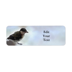 Tidi my Bird the Parus Major Label
