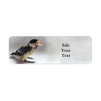 Tidi my Bird the Parus Major Label