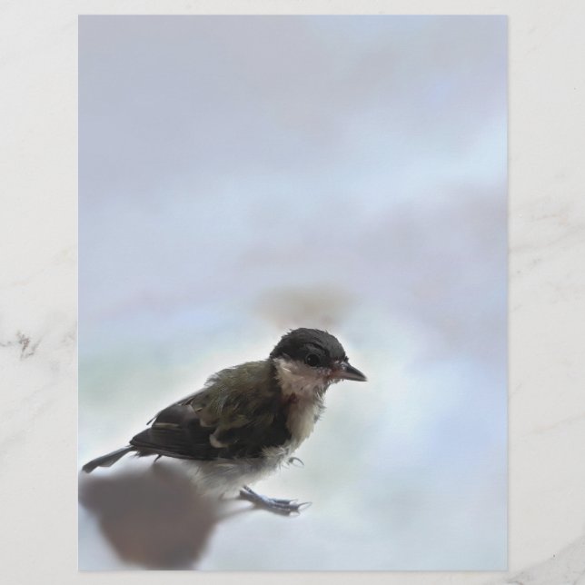 Tidi my Bird the Parus Major Letterhead (Front)