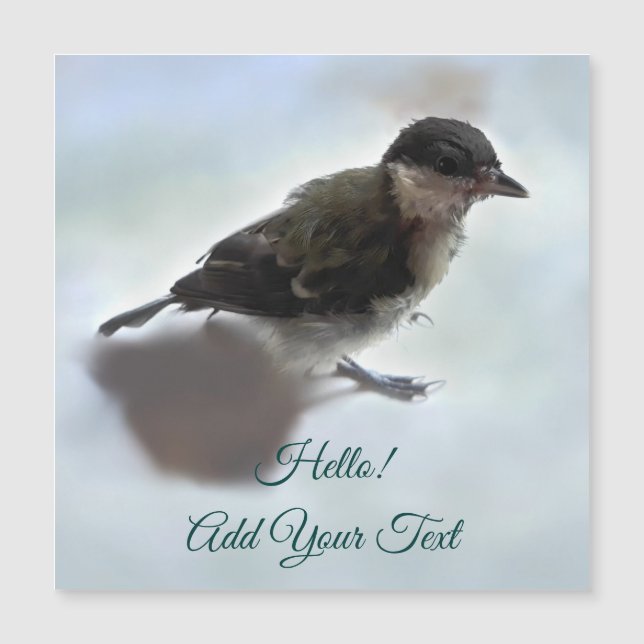 Tidi my Bird the Parus Major Magnetic Card (Front)