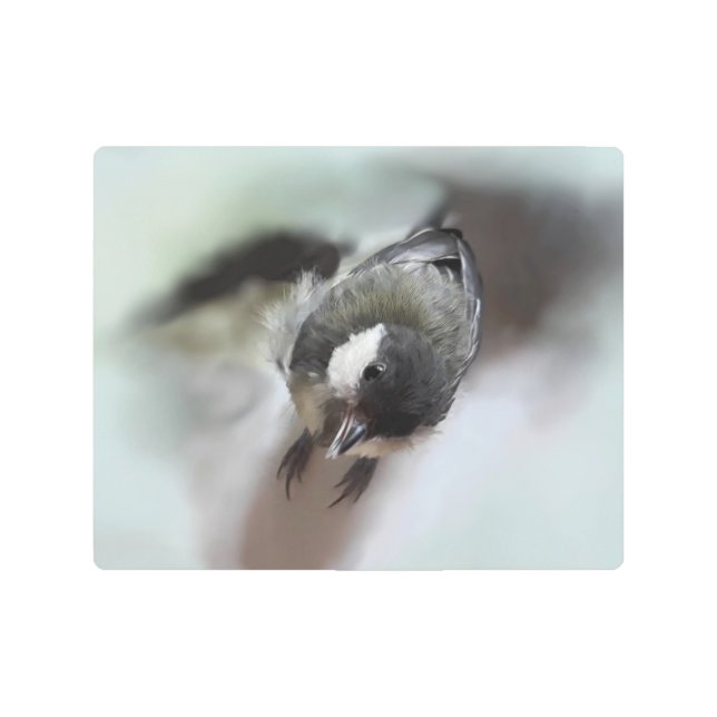 Tidi my Bird the Parus Major Metal Print (Front)