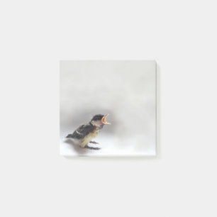 Tidi my Bird the Parus Major Post-it Notes