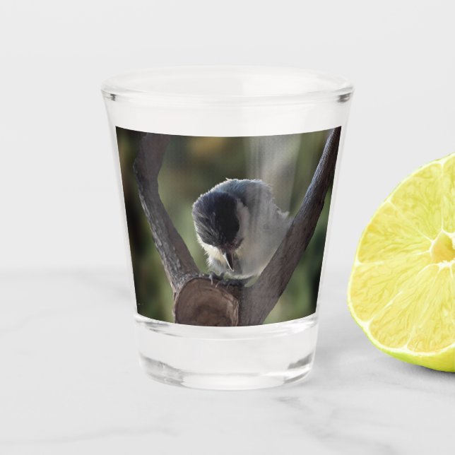 Tidi my Bird the Parus Major Shot Glass (Front)