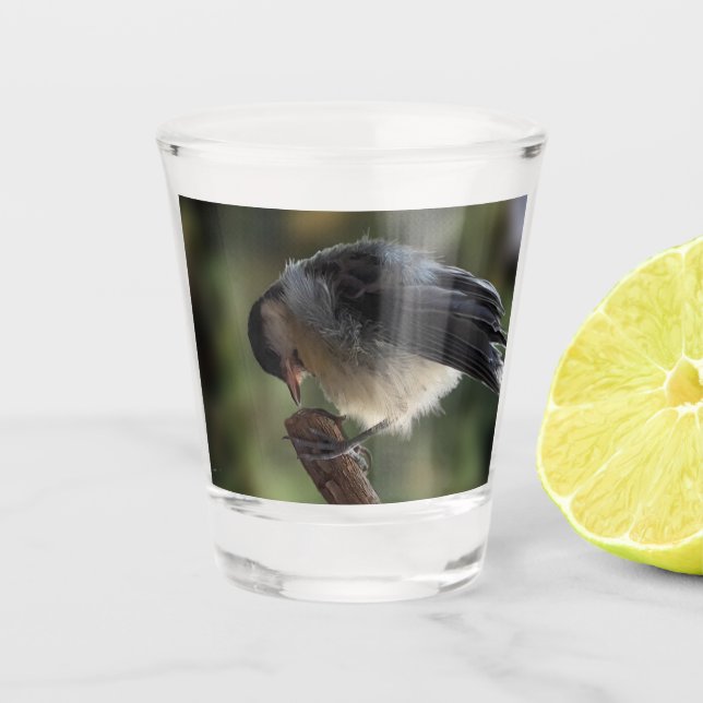 Tidi my Bird the Parus Major Shot Glass (Front)