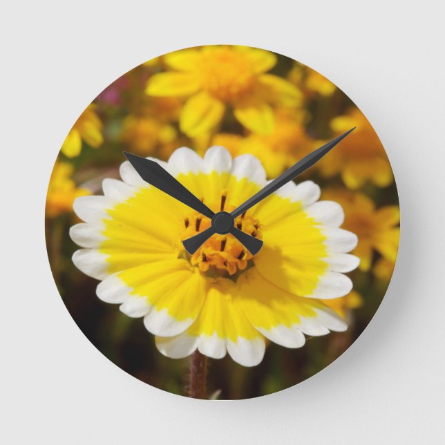 Tidy Tip Wildflowers Round Clock (Front)