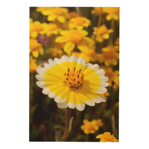 Tidy Tip Wildflowers Wood Wall Decor