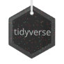 Tidyverse R ornament