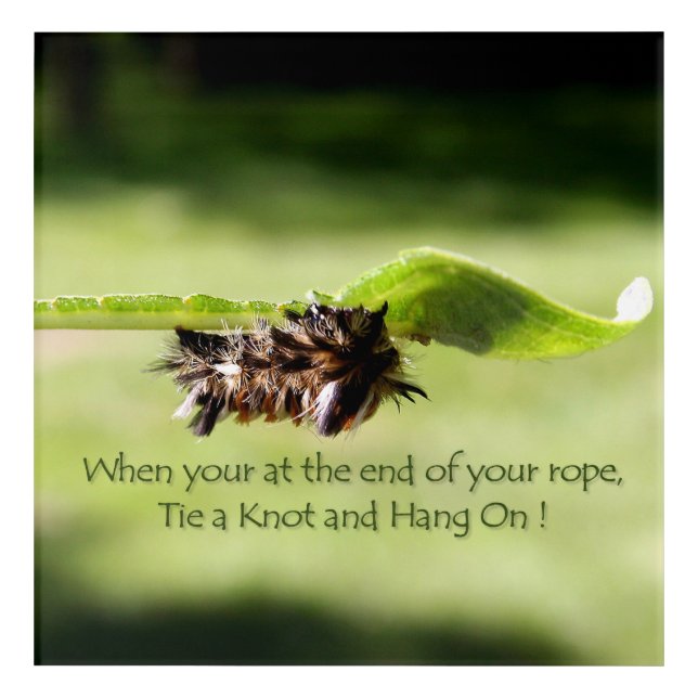 "Tie a Knot and Hang On" Acrylic Wall Art (Front)