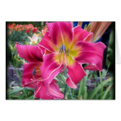 Tie Dye Twister - Daylily (Front Horizontal)