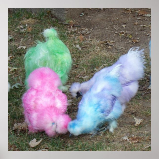 Tie Dyed Silkie Chickens in Pastel Easter Colors Poster (Front)