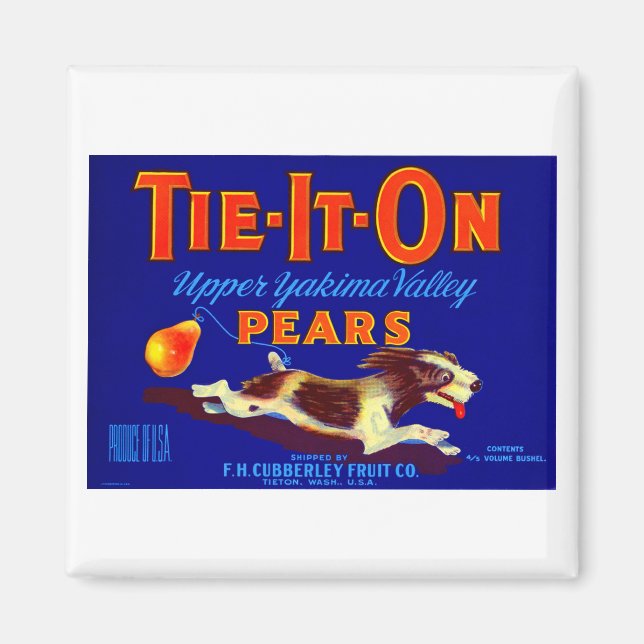 Tie-It-On Pears Magnet (Front)
