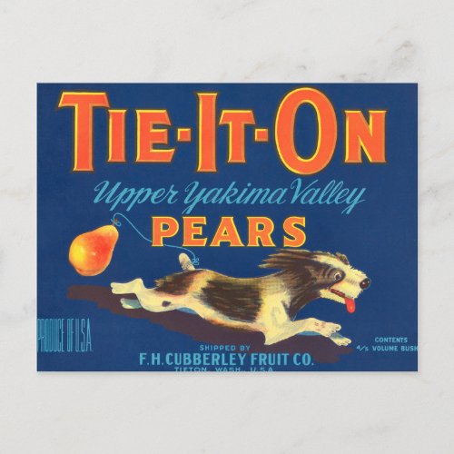 Tie_It_On Pears Vintage Advertisement Postcard