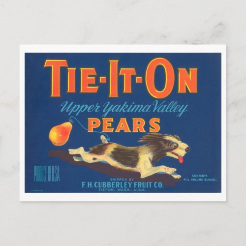 Tie It On Pears Vintage Fruit Crate Label Postcard