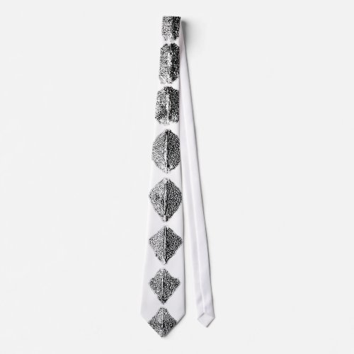 Tie Necktie _ SCUTES Sturgeon Huge