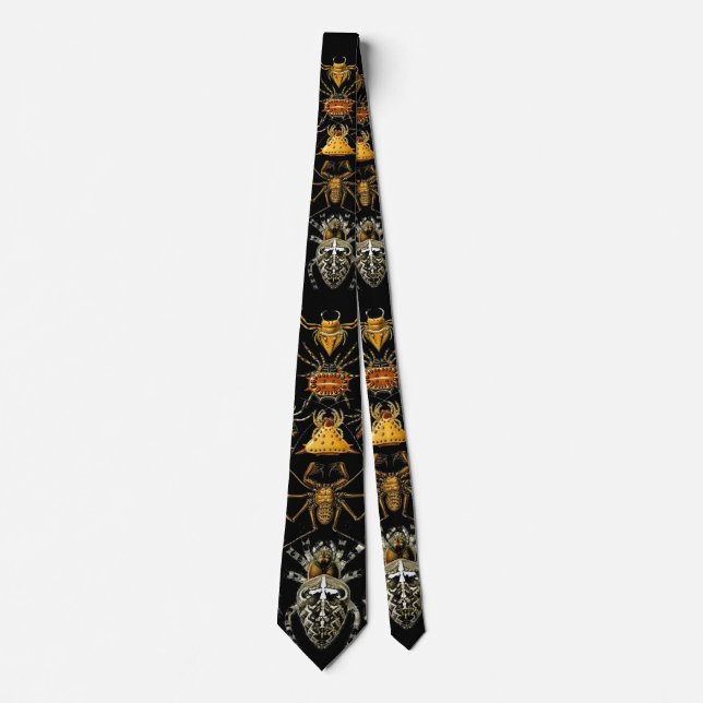 Tie Vintage Artist Ernst Haeckel Spiders (Front)