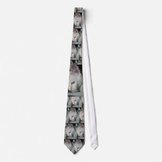 Tie, White Cat Neck Tie