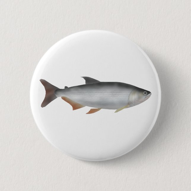 Tiete tetra button (Front)