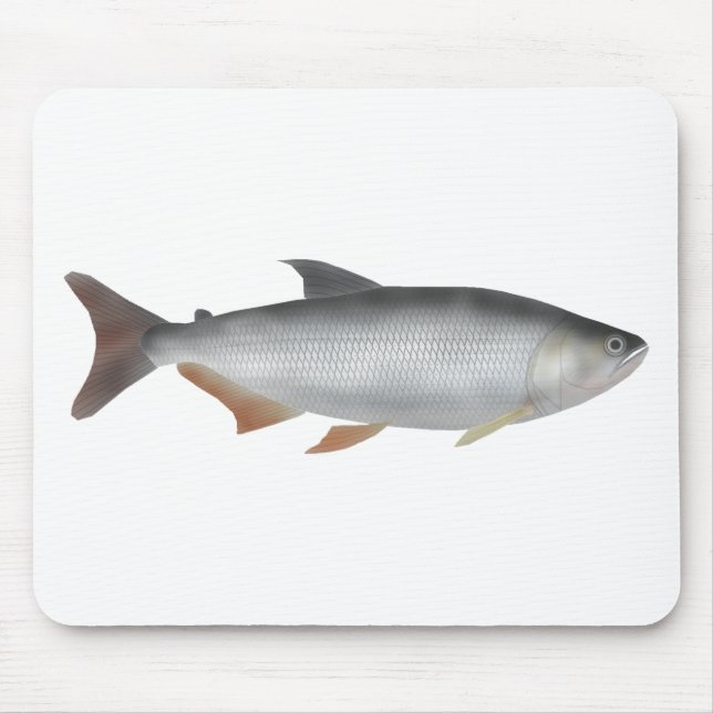 Tiete tetra mouse pad (Front)