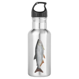 Tiete tetra stainless steel water bottle