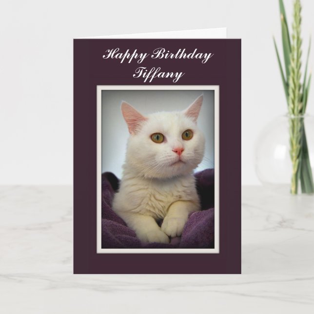 Tiffany Happy Birthday White Cat Card (Front)